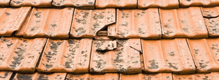 Broken_tiles_on_roof
